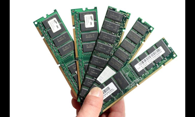 ram